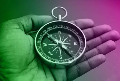 Leadership Team Strategic Vision and Culture for Global Head of Development